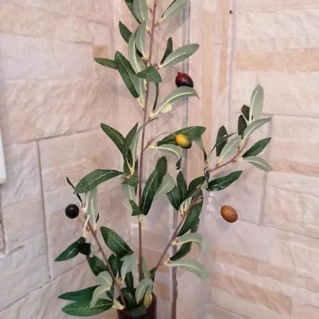 דירה Mountain Memories