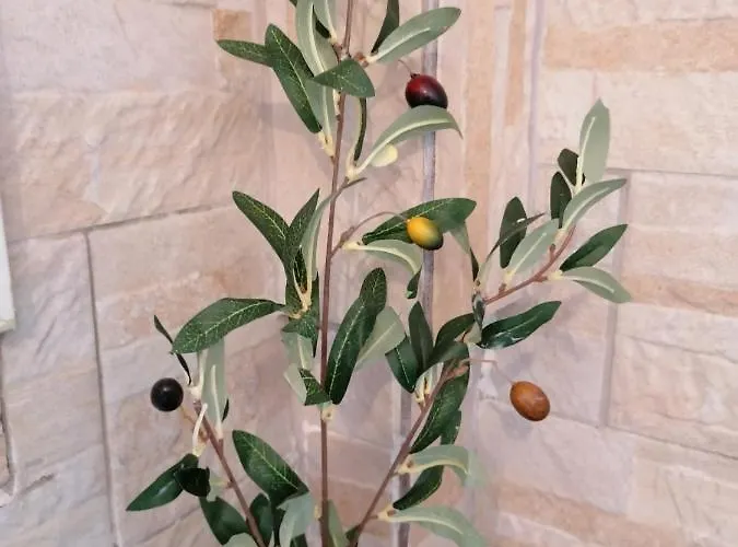 아파트 Mountain Memories